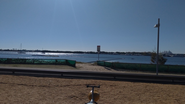 P_20200805_092558_vHDR_Auto.jpg