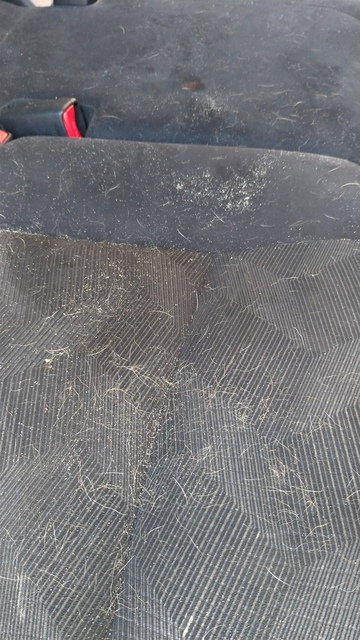 P_20201008_113859_vHDR_Auto.jpg