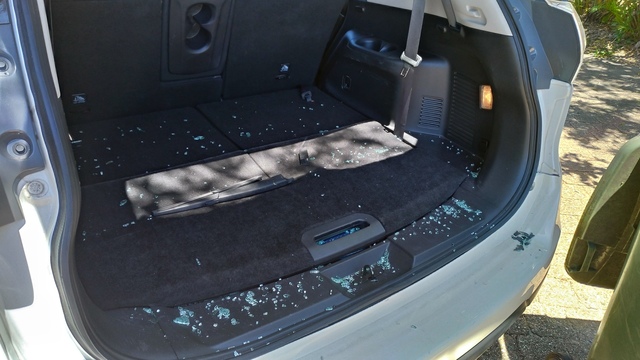 P_20201120_103737_vHDR_Auto_HP.jpg